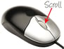 mouse