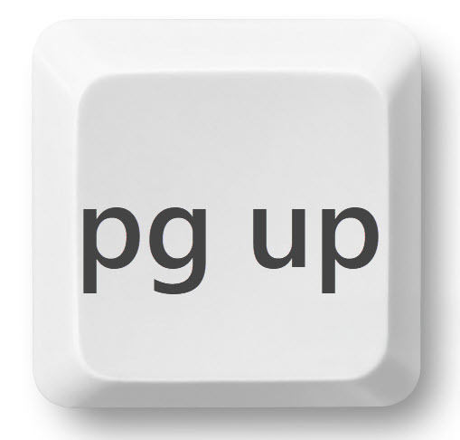 pg up